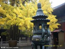 懷柔紅螺寺一日游